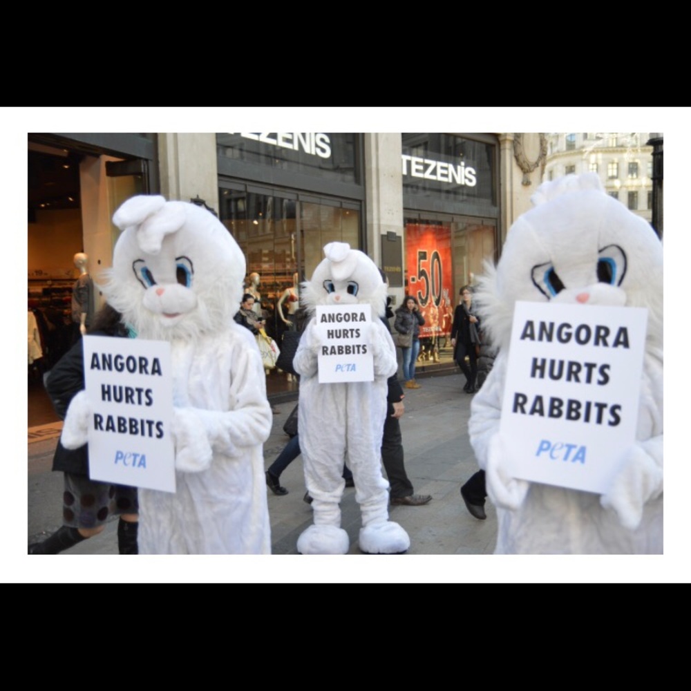 PLZ BUY PRE-OWNED FUR PRODUCTS
‼️NOT FOR SALE‼️ - Picture 9 of 13
